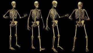 人体骷髅头素材PSD素材