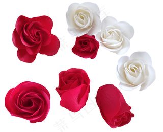 玫瑰花红玫瑰白玫瑰实拍免扣