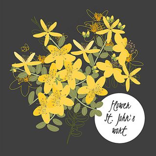 漂亮黄花矢量图片