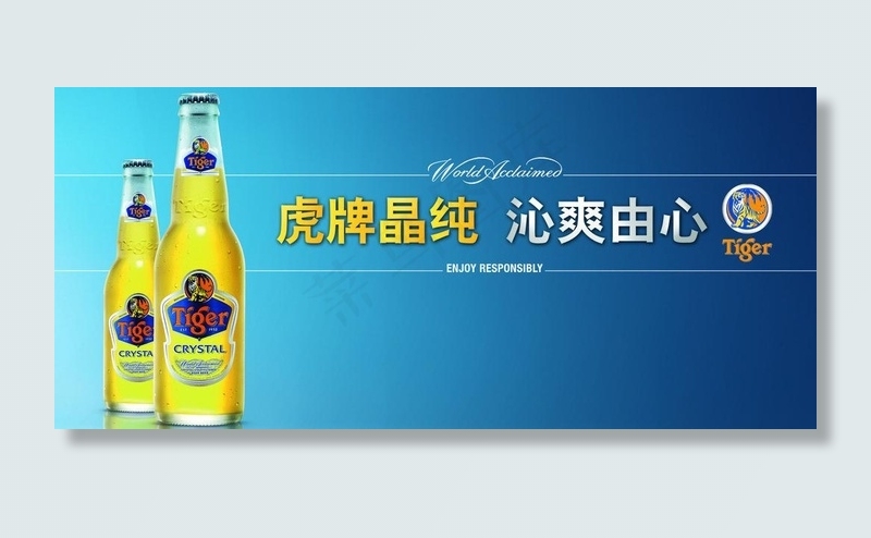 tiger虎牌啤酒图片(3421X1732(DPI:55))psd模版下载