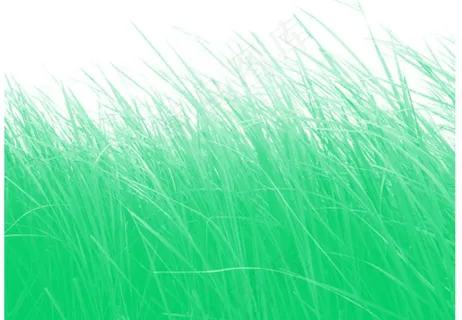 密集的小草笔刷图片