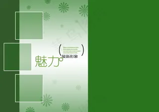 魅力无限婚纱模板