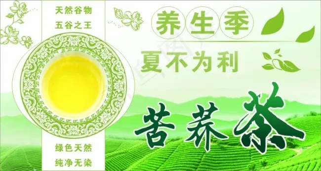 养生季苦荞茶夏不为利cdr矢量模版下载