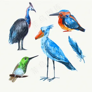 手绘动物飞禽图案