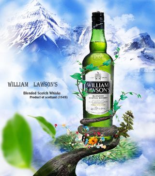 创意啤酒海报免费下载,树藤,冰山