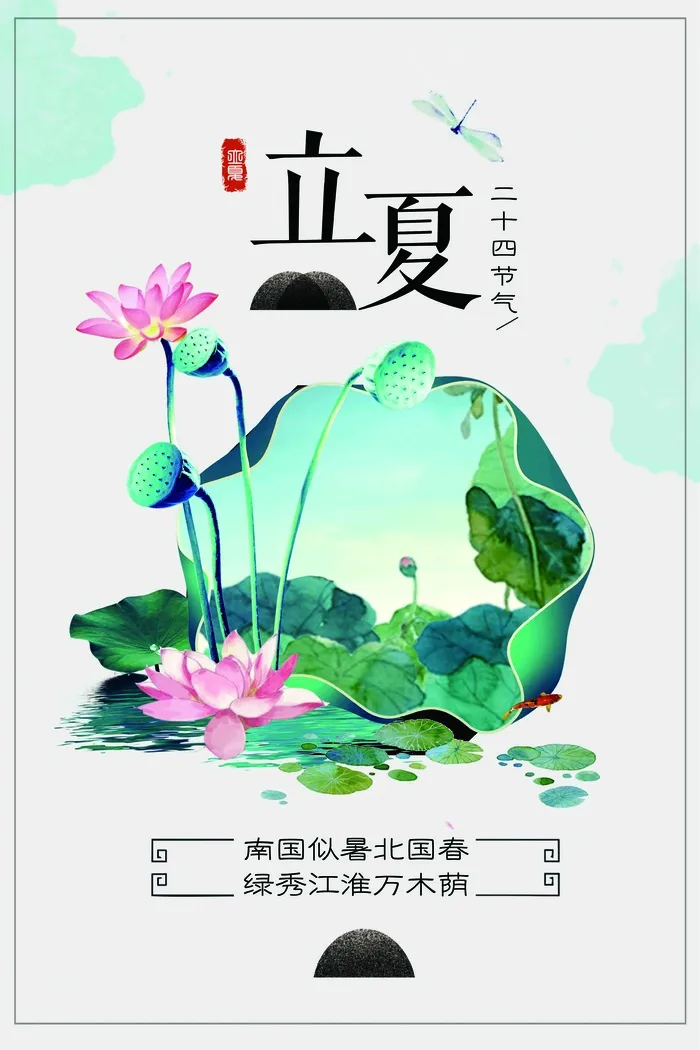 清新大气立夏荷花节日海报设计