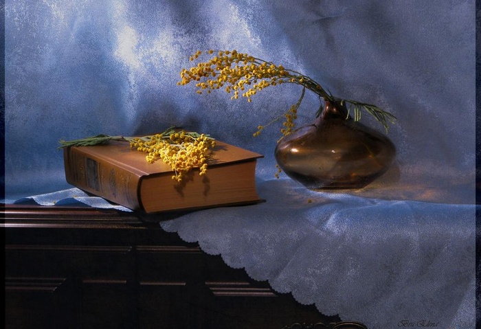 艺术花卉摄影图片