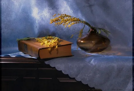 艺术花卉摄影图片