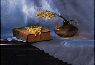 艺术花卉摄影图片