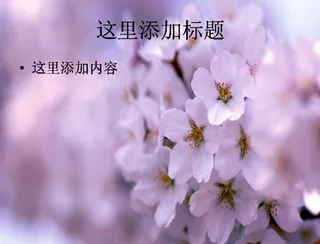 夏日清新植物PPT(7)