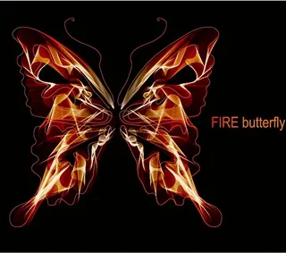 唯美漂亮火蝴蝶分层失量图