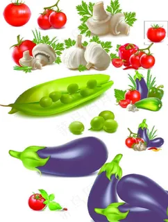 蔬菜素材图片