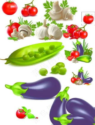 蔬菜素材图片
