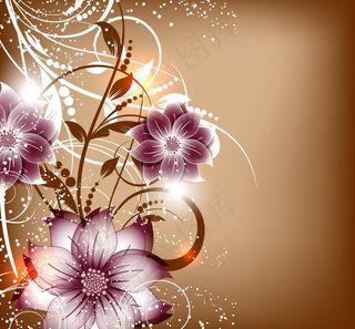 花卉花朵背景图片