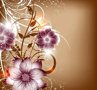 花卉花朵背景图片