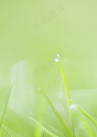 绿色清新背景素材图片