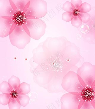 粉色底纹
