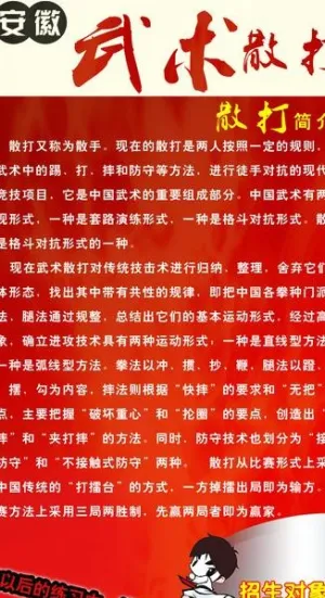 武术 散打x展架图片