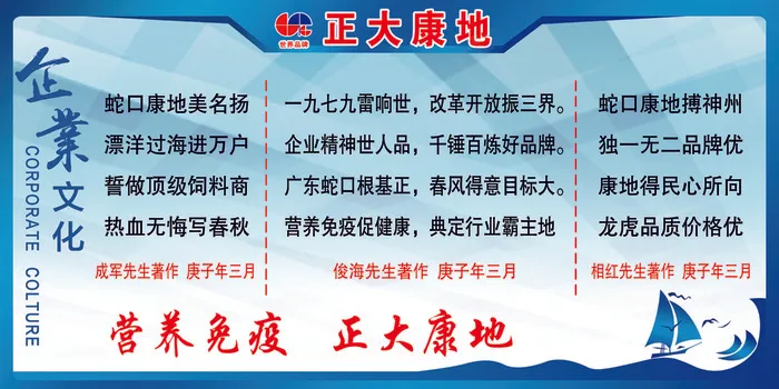 正大康地企业文化psd模版下载