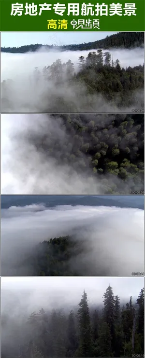 原始森林晨雾房地产专用风景