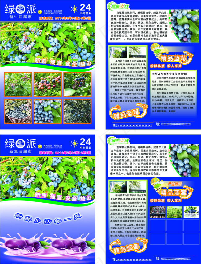 蓝莓单页(210X285)cdr矢量模版下载