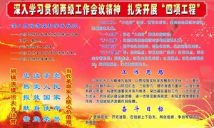 会议精神 扎实开展 四项工程图片