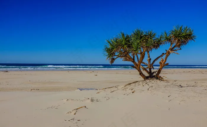 海滩沙滩高清摄影图片