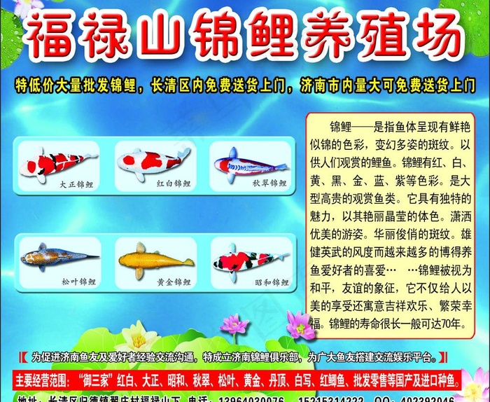 福禄山锦鲤养殖场图片
