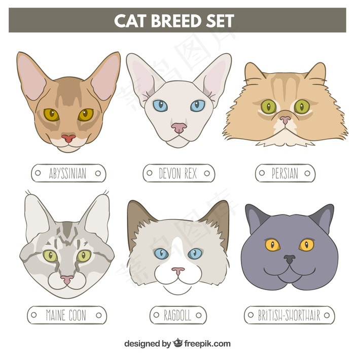 可爱卡通矢量猫