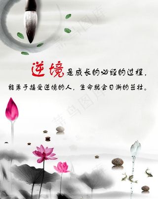 水墨荷花（背景合层）图片