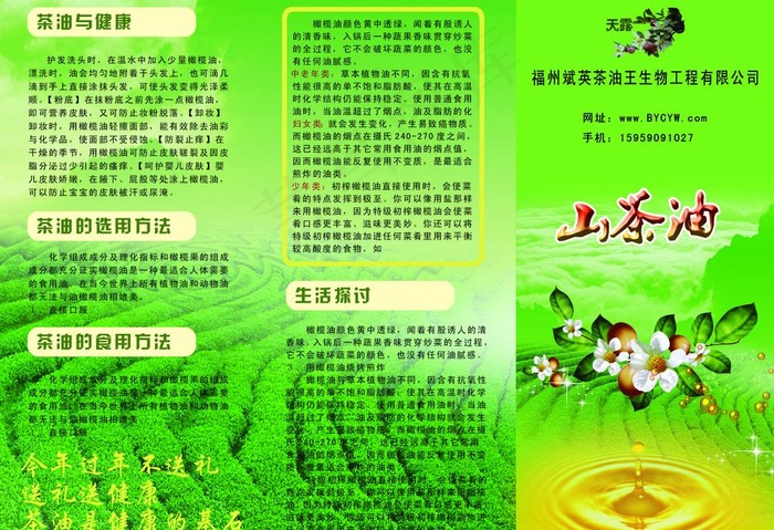 山茶油三折页图片