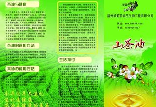 山茶油三折页图片