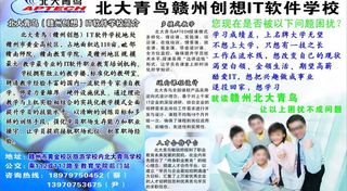 宣传单 北大青鸟图片