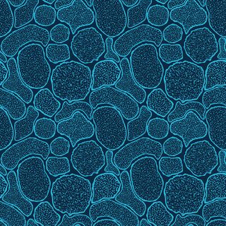 病毒细胞的无缝纹理