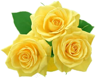 鲜花花朵装饰图案免扣素材