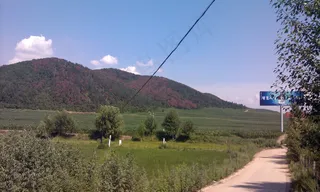 靠林村南摄影图片