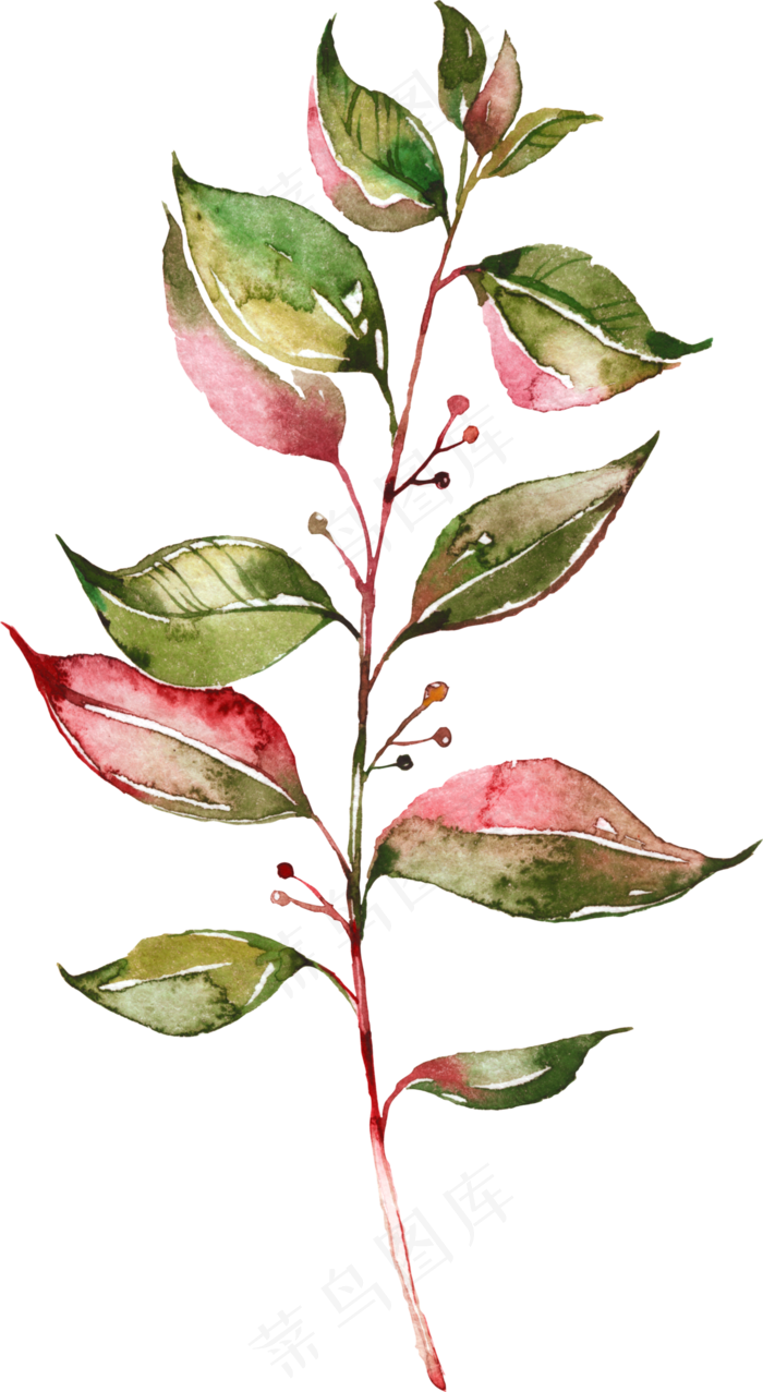 手绘长小果子树叶梗png透明素材