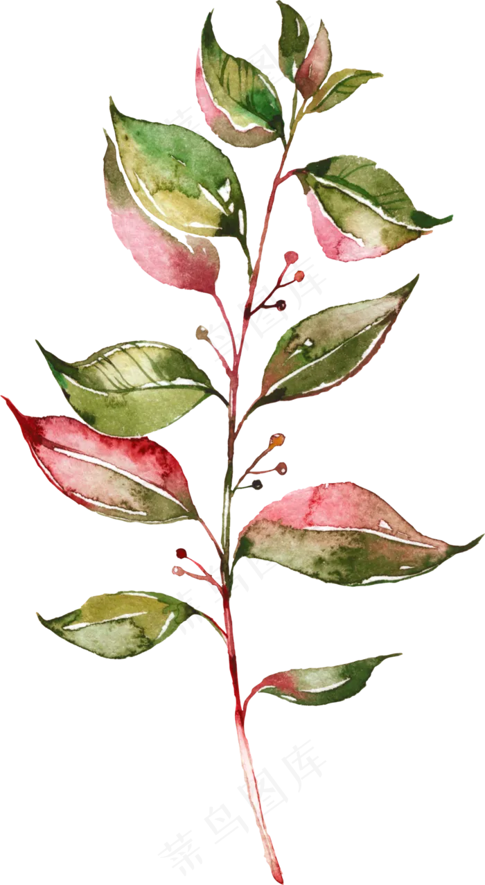 手绘长小果子树叶梗png透明素材