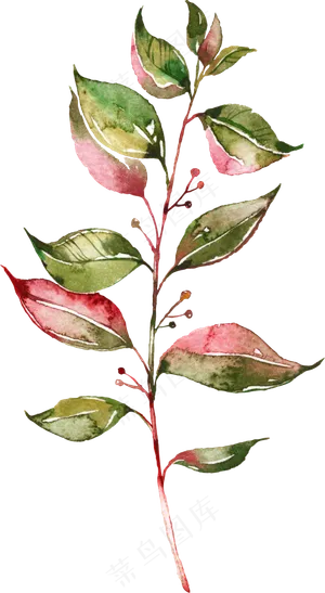 手绘长小果子树叶梗png透明素材 手绘长小果子树叶梗png透明素材