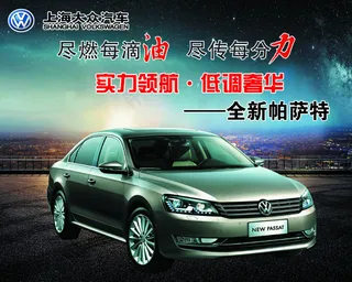 上海大众帕萨特