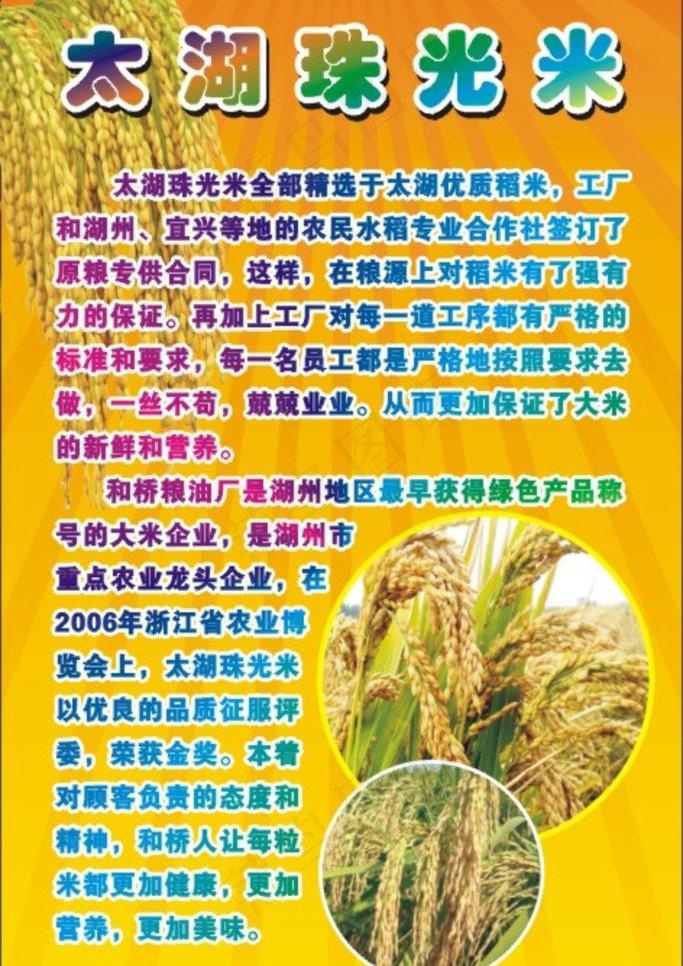 珠光米写真图片cdr矢量模版下载