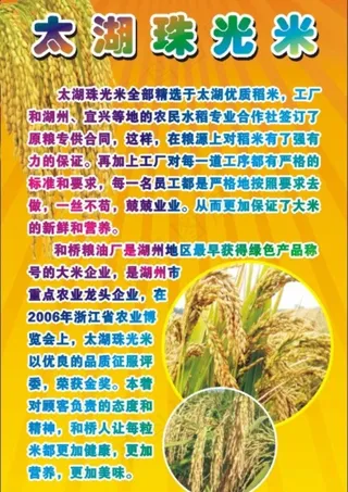 珠光米写真图片