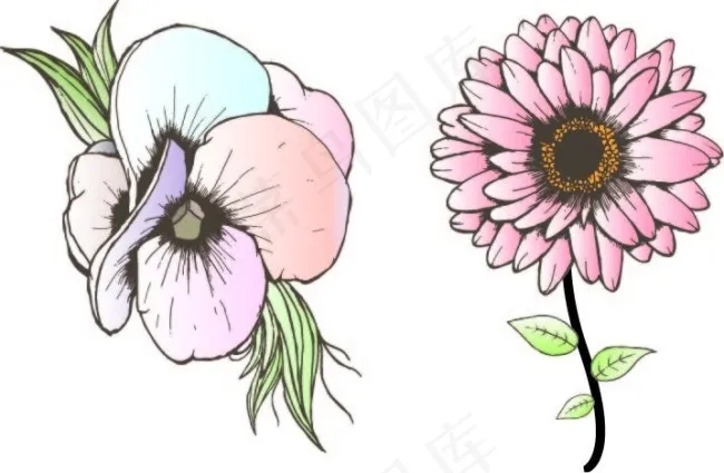 手绘菊花ai矢量模版下载
