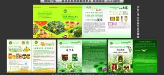 梁子湖楚天碧玉茶叶系