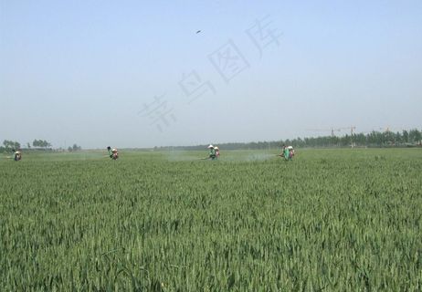 农业背景图片