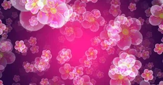 桃花旋转纷飞舞台背景