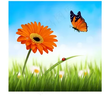 夏草伴花蝴蝶背景矢量素材