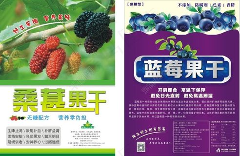 蓝莓果干和桑葚果干宣传彩页设计