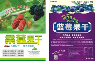 蓝莓果干和桑葚果干宣传彩页设计