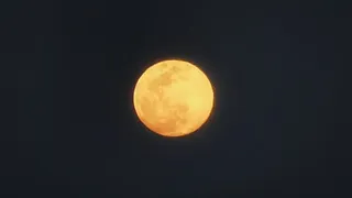 正月十五超级月亮图片